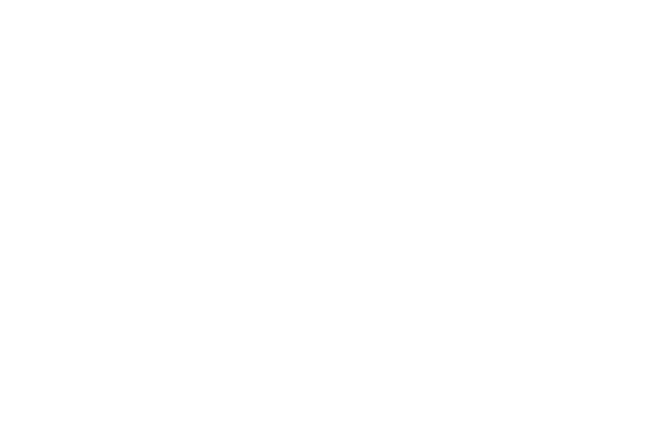 SolvePlan
